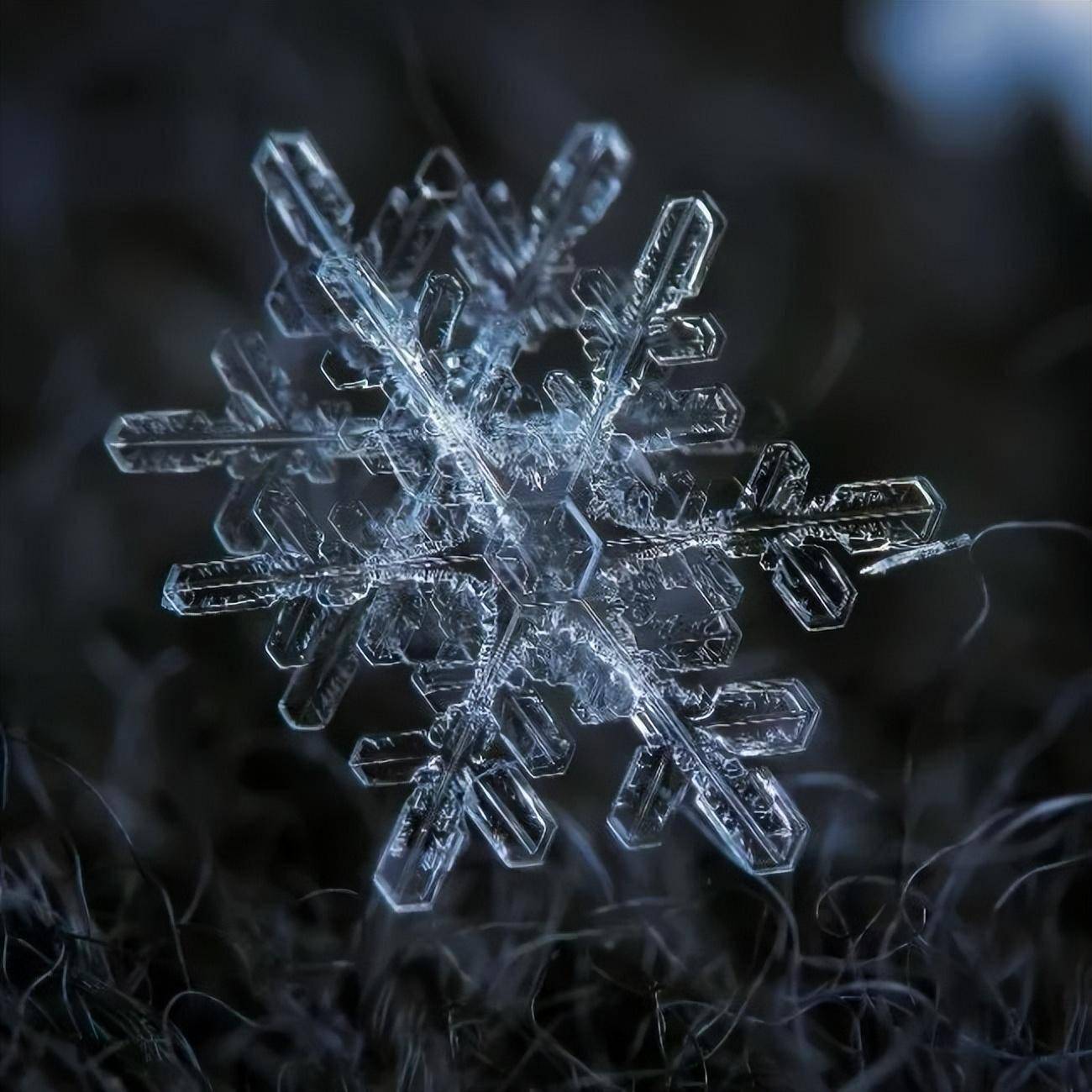 不一样的唯美雪花