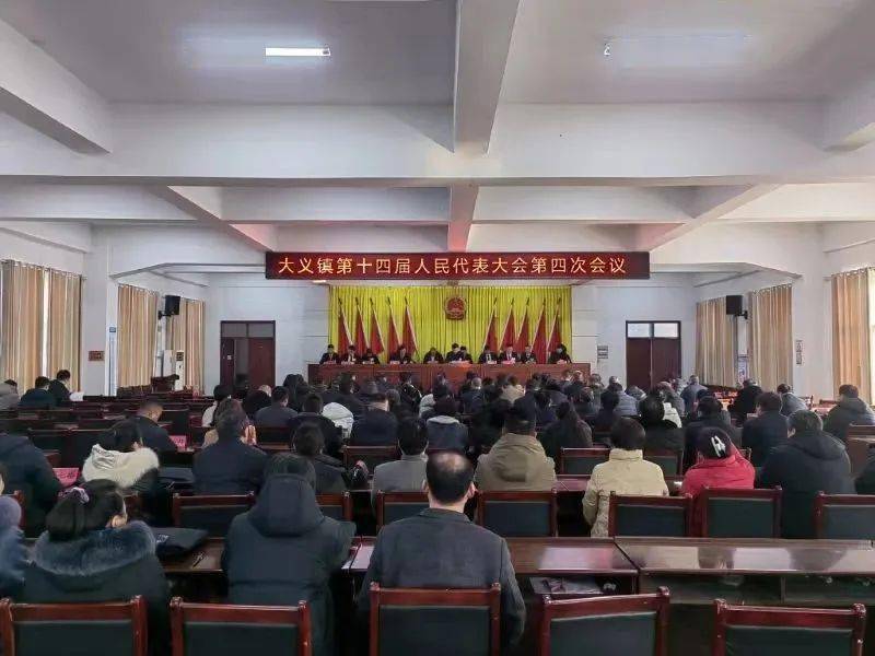 大义镇十四届人大四次会议选举张贺为镇人民政府镇长_审核_宪法_进行