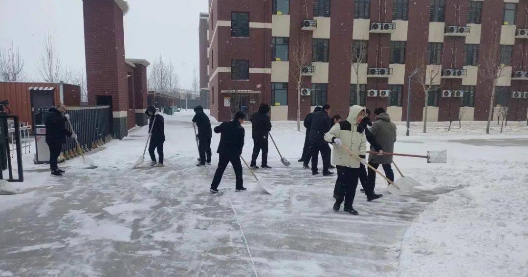 阳谷嘉和城中学招生图片