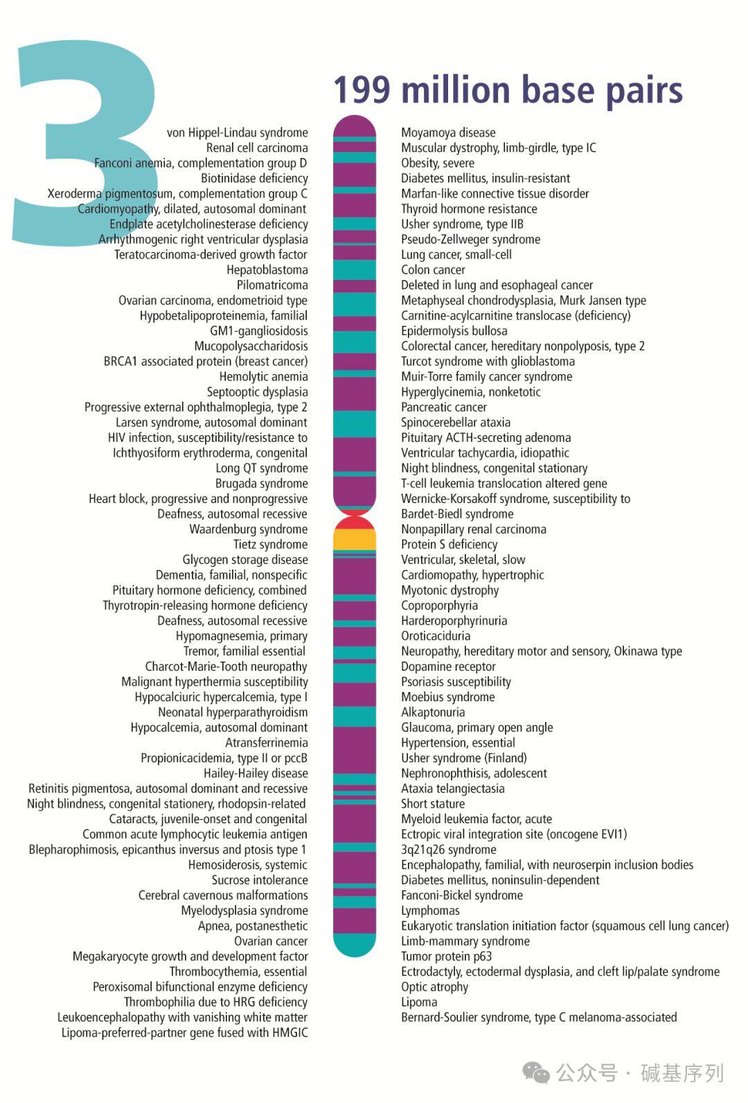 3号染色体及相关疾病_体细胞_chr_人类