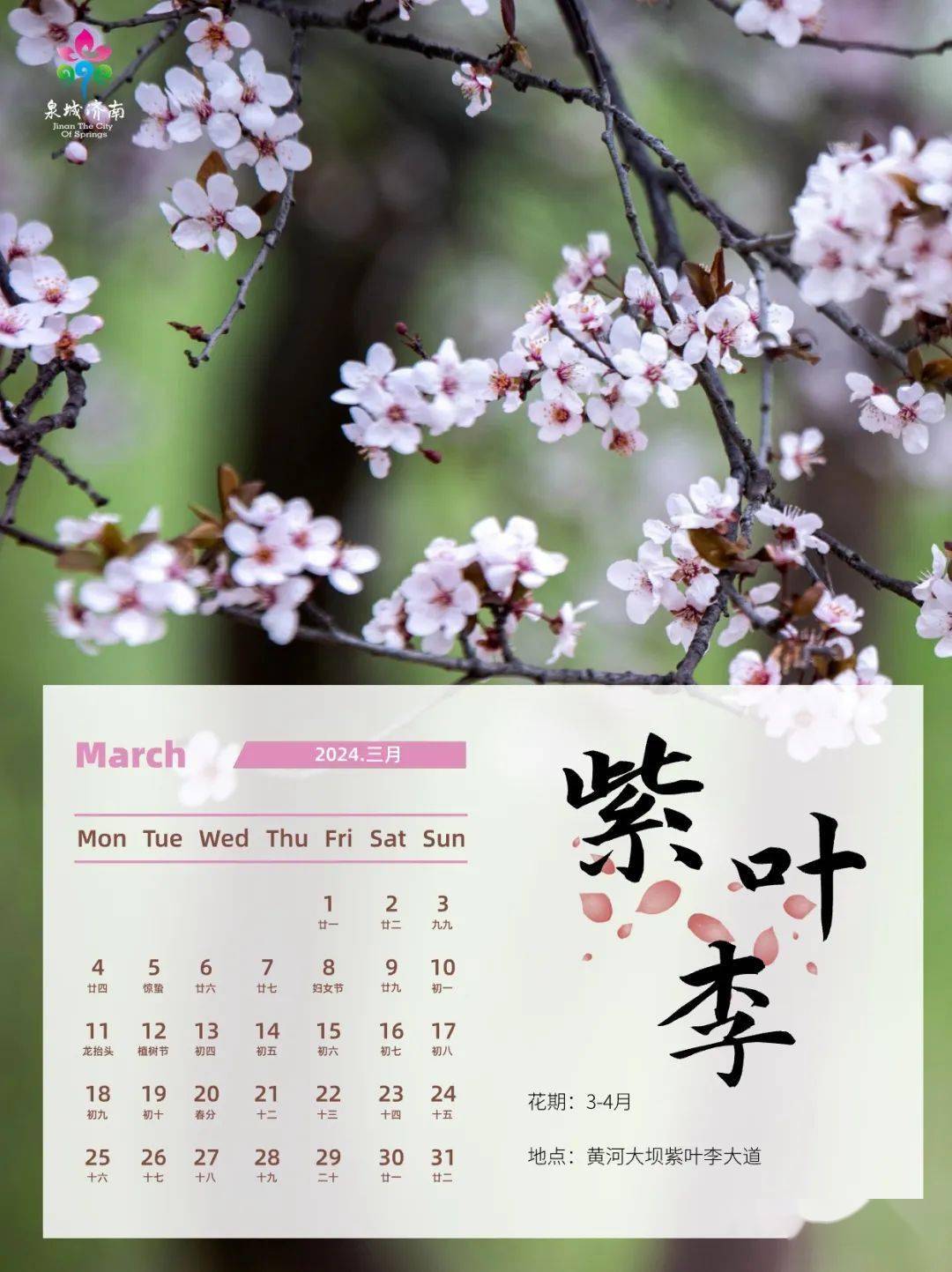 快加进你的春游计划里吧～_时间_郁金香_桃花