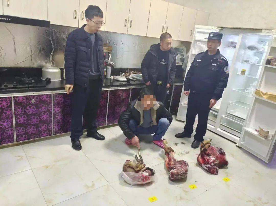 公众_斑羚_中华