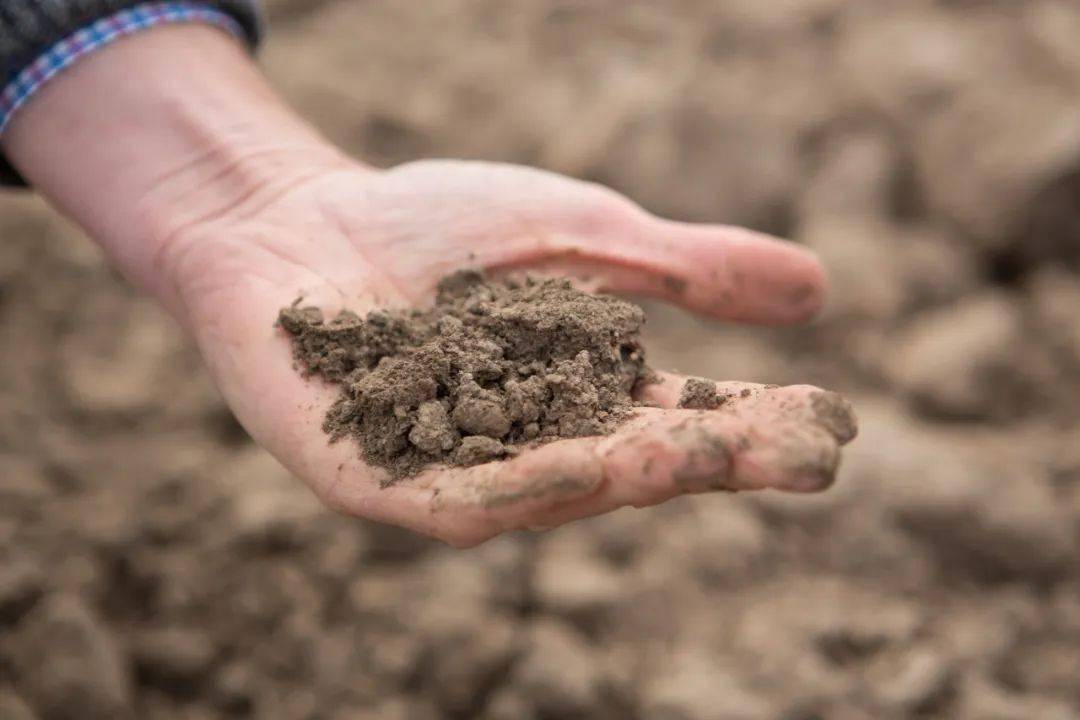 活动邀请 | 澳大利亚展团首次亮相第二十四届中国国