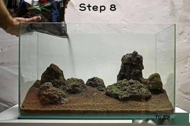 21步完成开缸,精确指导草缸小白入坑_水草_种植_造景