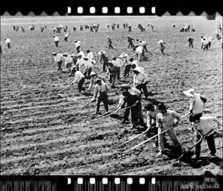 种田人都学懒一埯一粒不犁也不铲刮风下雨心不惊秋收过后家家仓子满