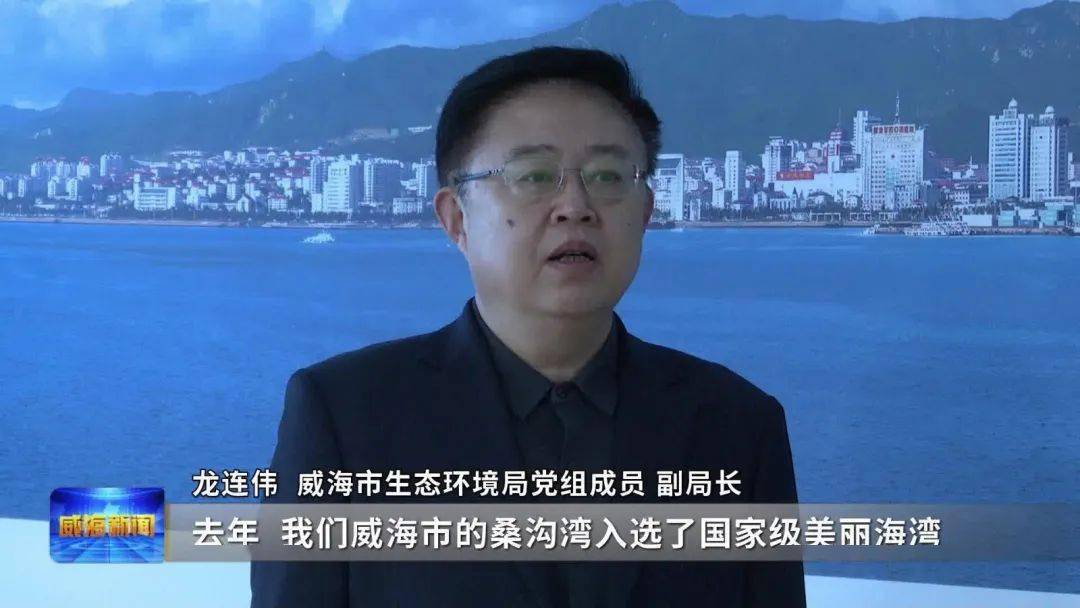 威海实践:美丽海湾养成记_王程宇_进行_海岸线