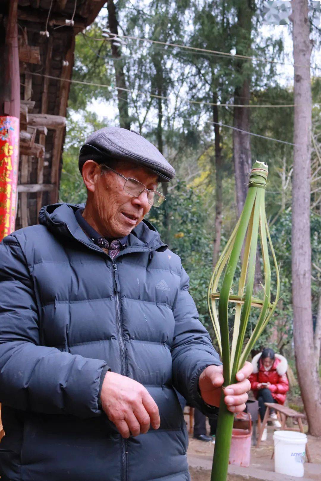 嫩竹_竹子_孩子