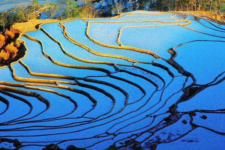 東川紅土地 元陽哈尼梯田 羅平油菜花 普者黑 世外