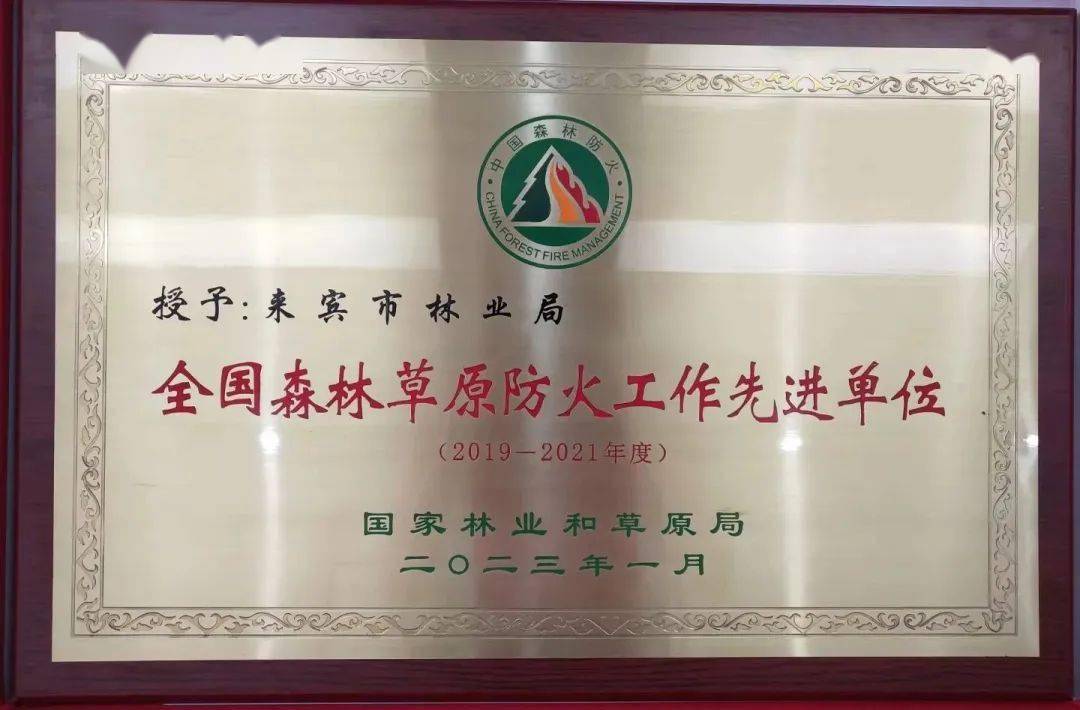 来宾林业:厚植绿色满目新_工作_林长_油茶