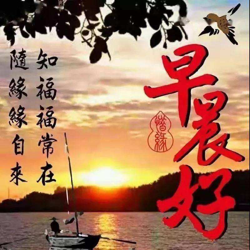 最新版带鲜花早安图片带字祝福语,超漂亮早安祝福语图片带字表情大全