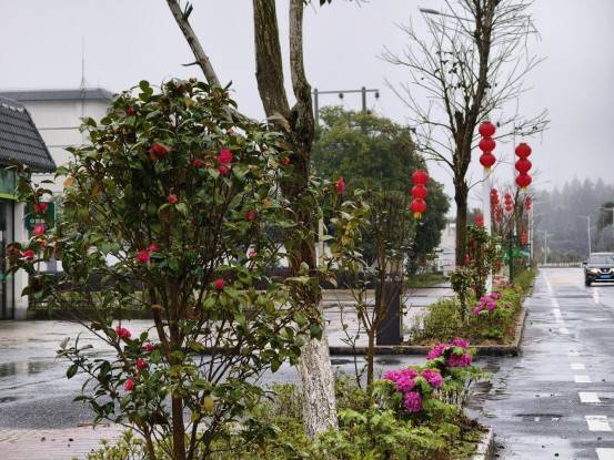 点绿成金 让"金"的含量更高深山之中,群山叠翠,被大雨洗礼后的茶园