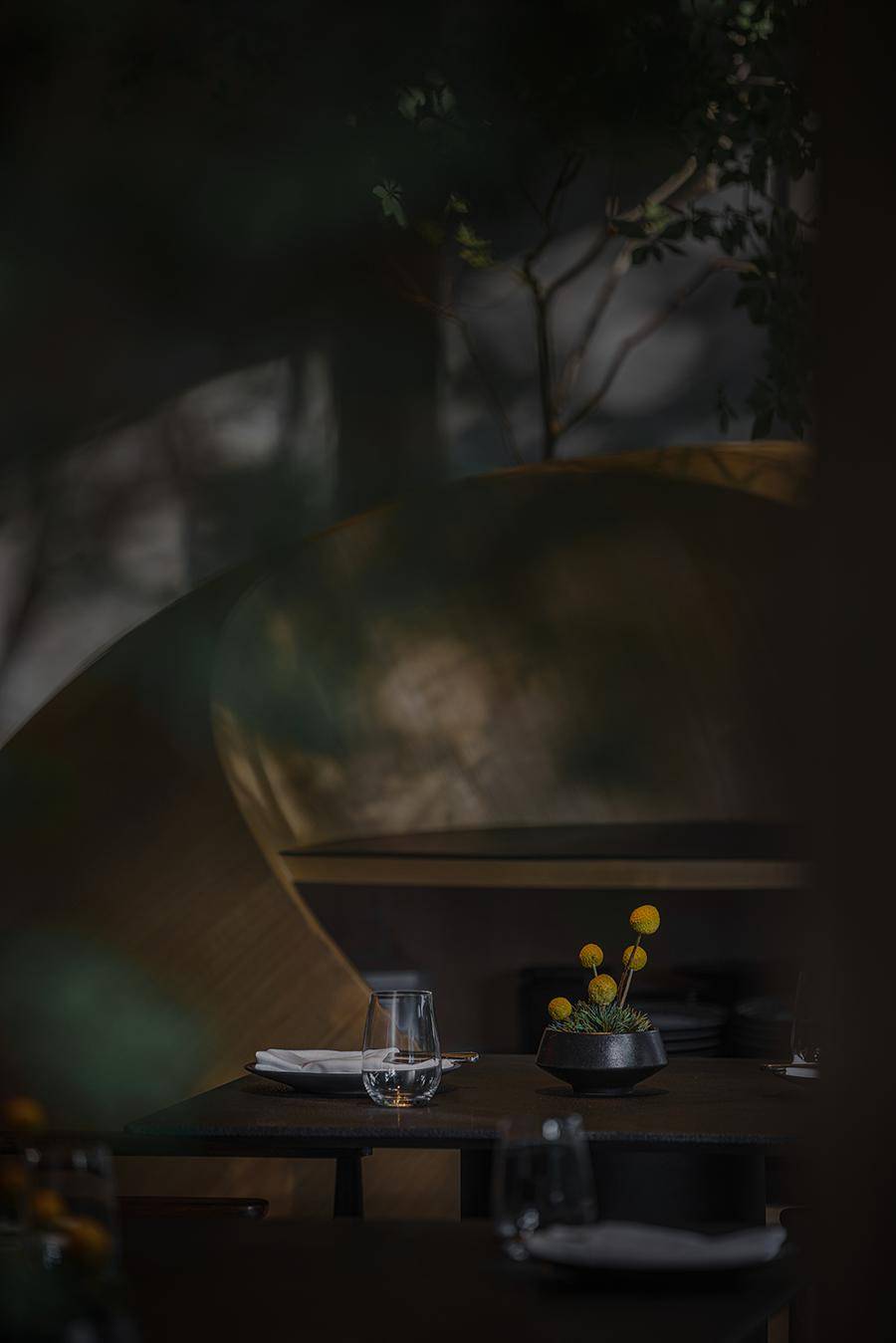 定格 / 琥珀里的时间framing / time in amber微醺的人与历史的距离