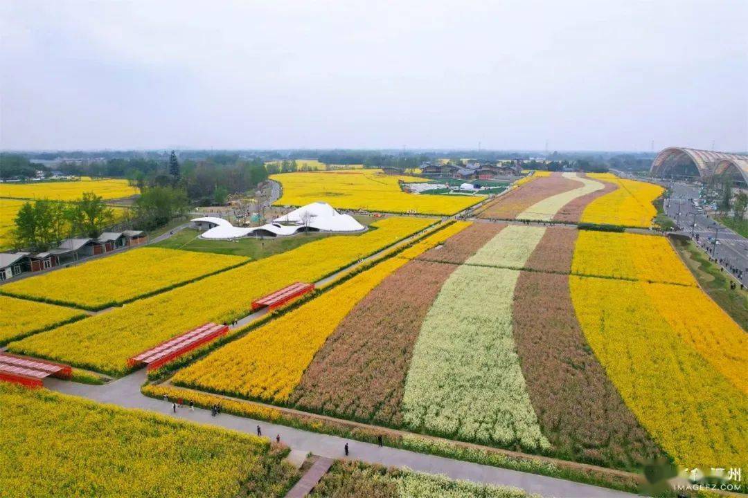 福州大面积上新!_油菜花_古厝_古今