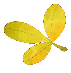 穿上马面裙 奔赴春天里的国潮之约_曹县_销售额_山东博物馆