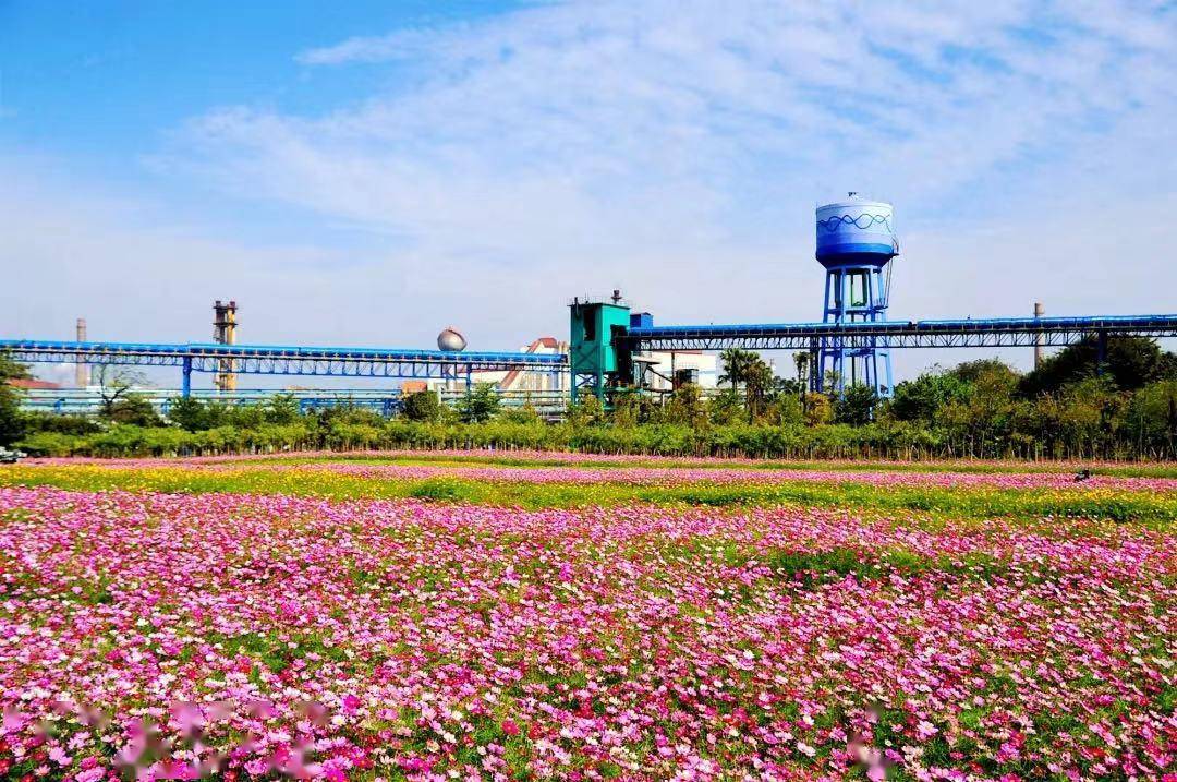 韶关又向东莞游客送大礼啦!_景区_地址_旅游