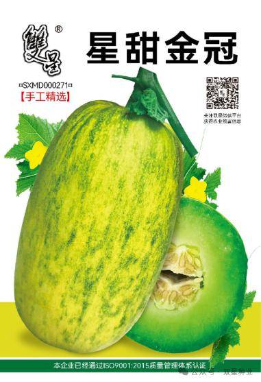 【甜瓜种植技术】大棚甜瓜吊蔓整枝详解_管理_植株_进行