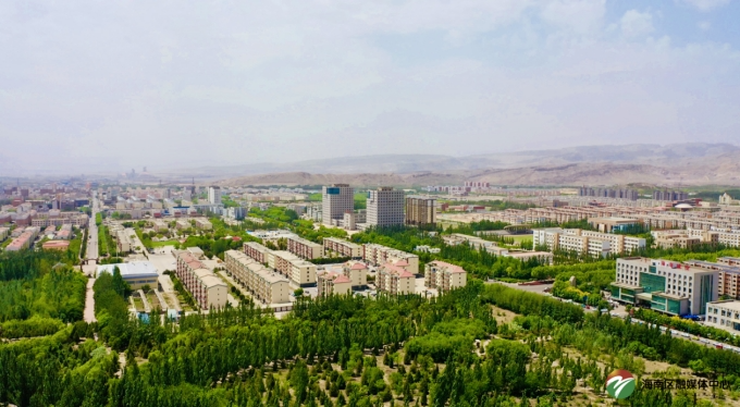 海南区:笃行实干谋新篇招商引资正当时_项目_建设_环境