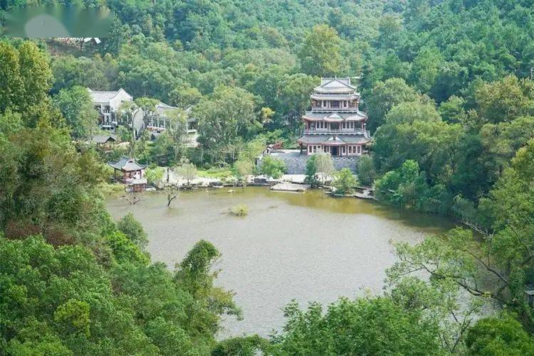 温泉无限畅泡!_玻璃_桂林_树