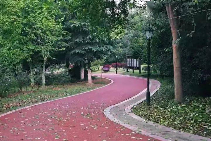 景区_镇江_踏青