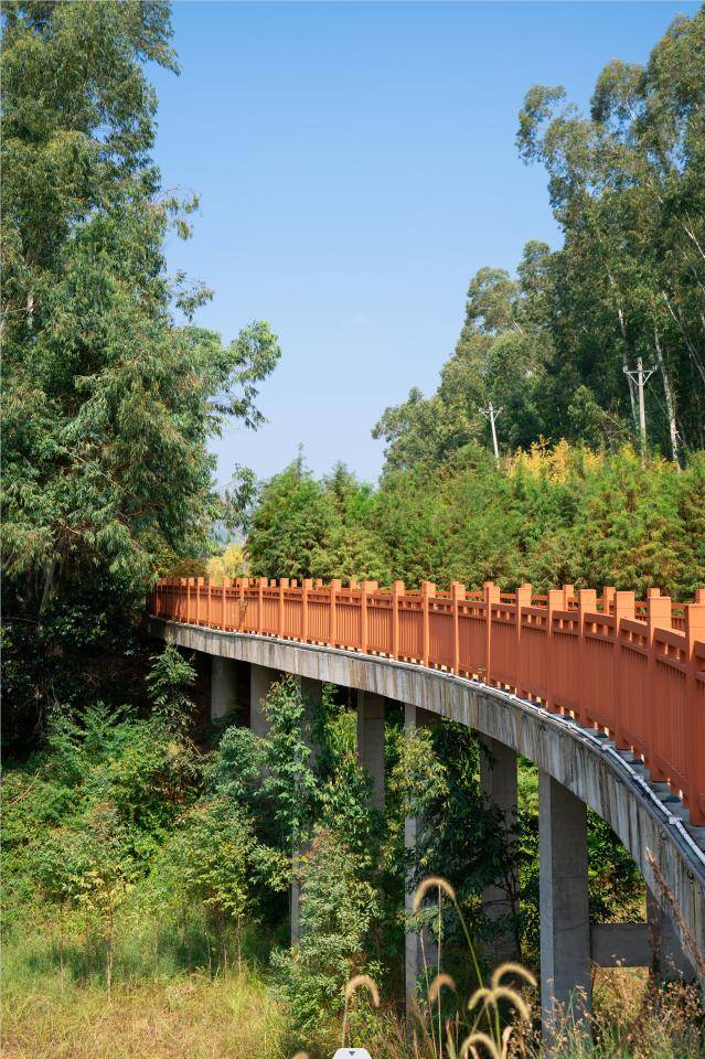 2024年旅行手册带你玩遍这座低调小城→_古田_翠屏湖_桃花