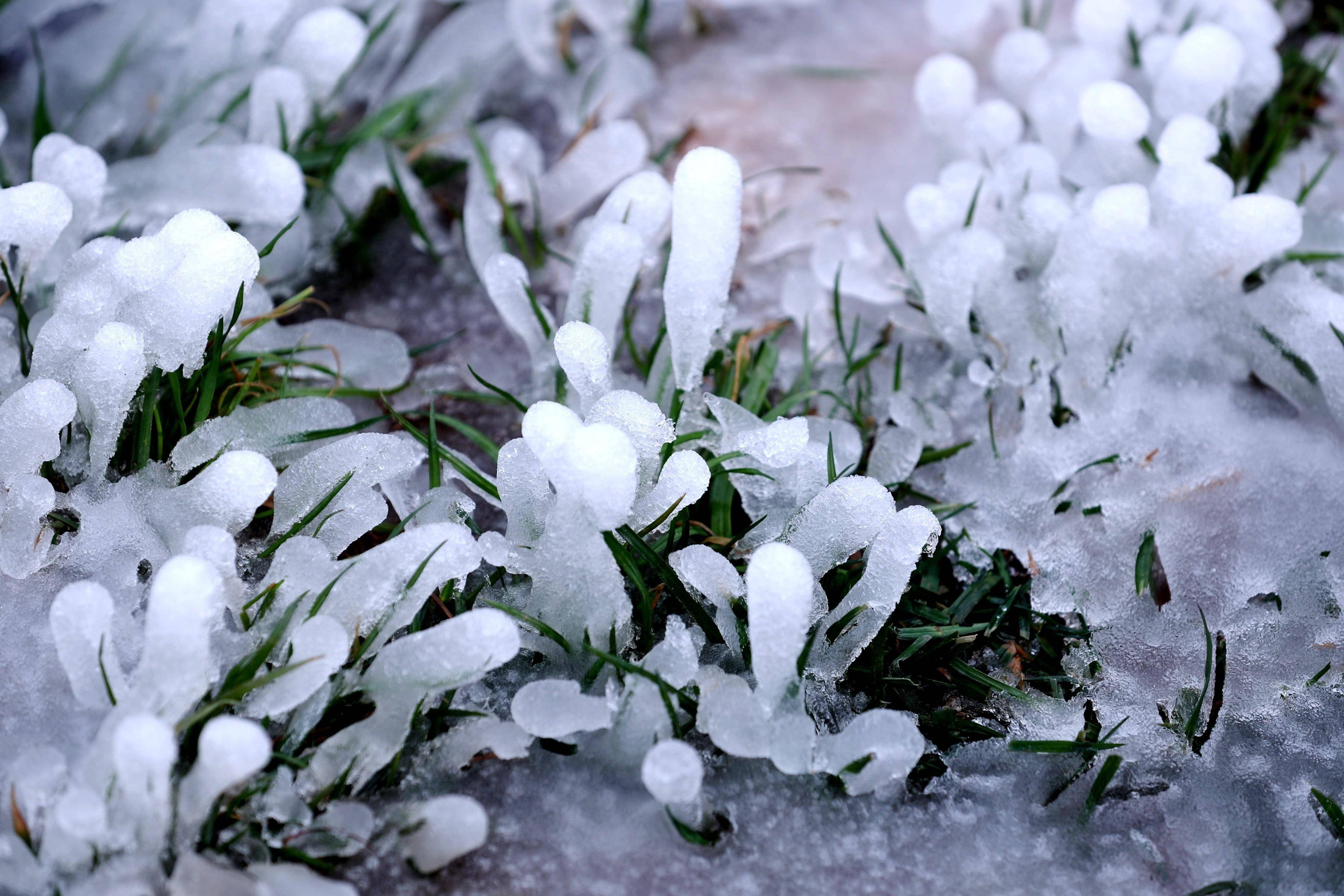 梅岭雪景图片图片