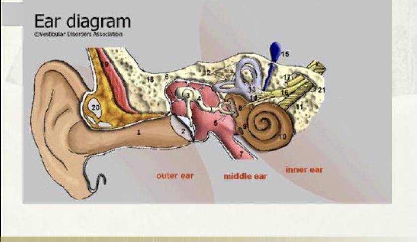 一文带你了解眩晕的治疗,建议收藏!_指导_颈部_锻炼