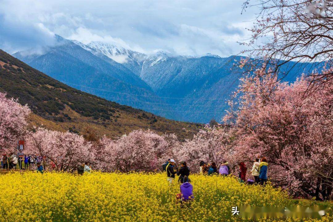 林芝最佳旅游季节图片