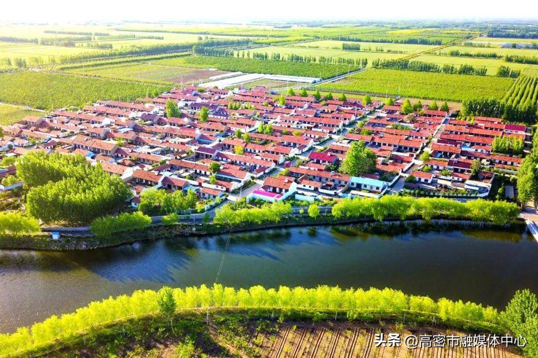 潍坊高密市柴沟镇:打造乡村振兴齐鲁样板示范区"柴沟样板"