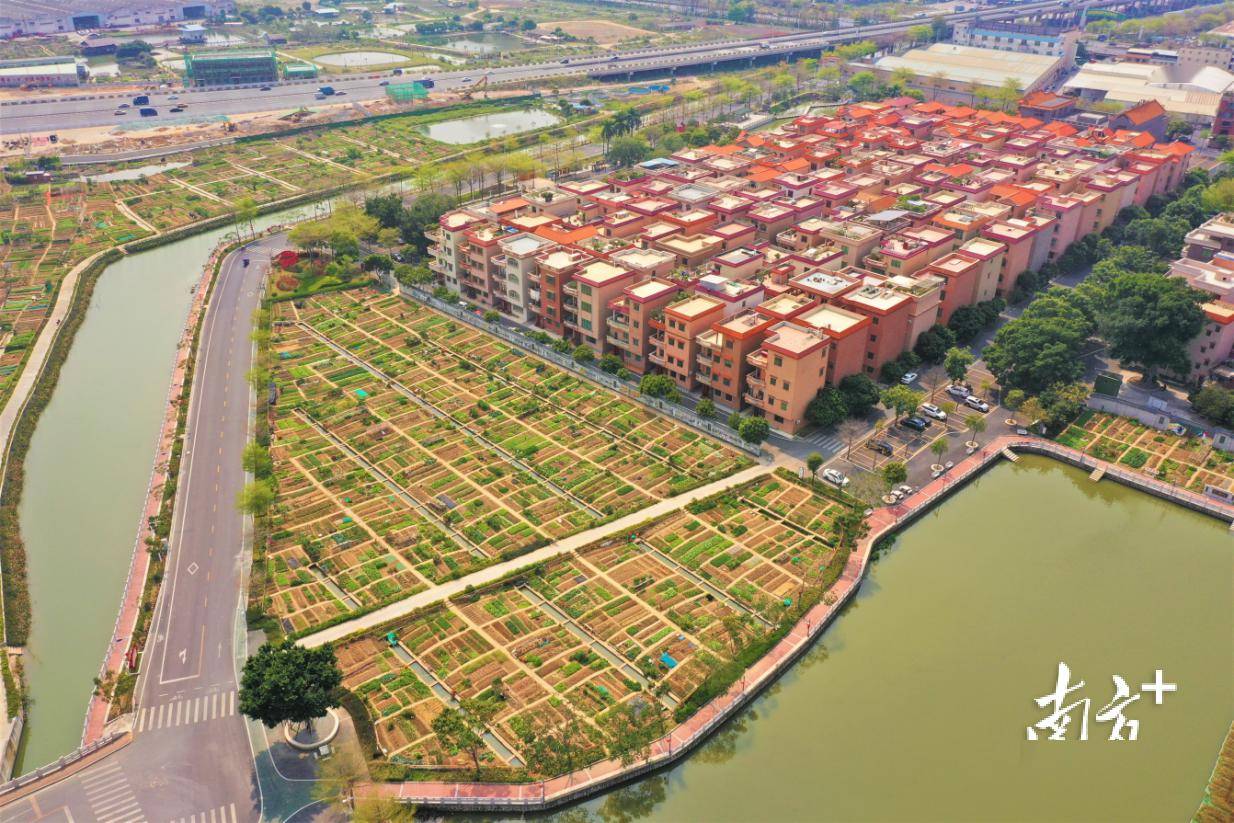 禅城"百千万工程"和美乡村微改造优秀样板出炉_项目_南村_田园