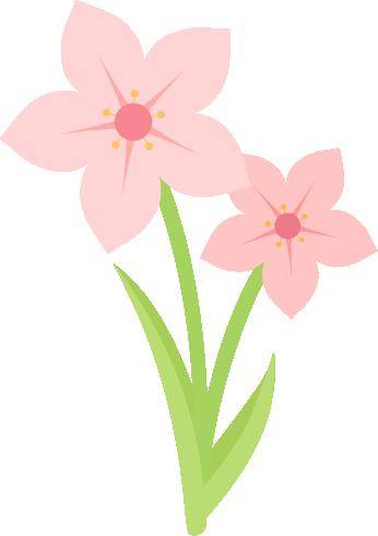 hobin_木棉花_公园