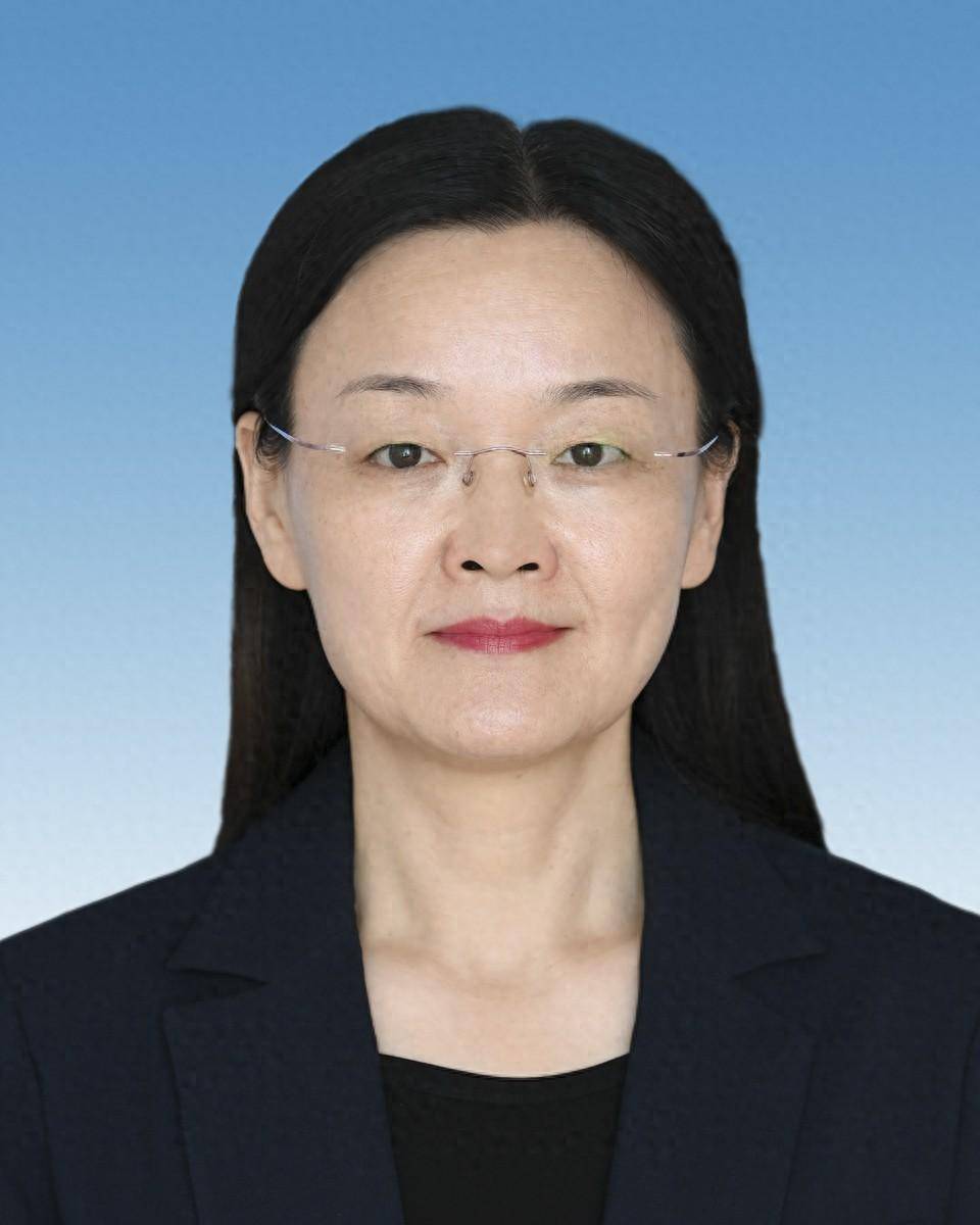 段华,出任临沂市审计局局长_显示_党组书记_学历