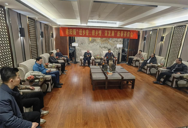 江苏建湖建阳镇:筑巢引凤 汇聚人才促振兴_发展_乡村_工作