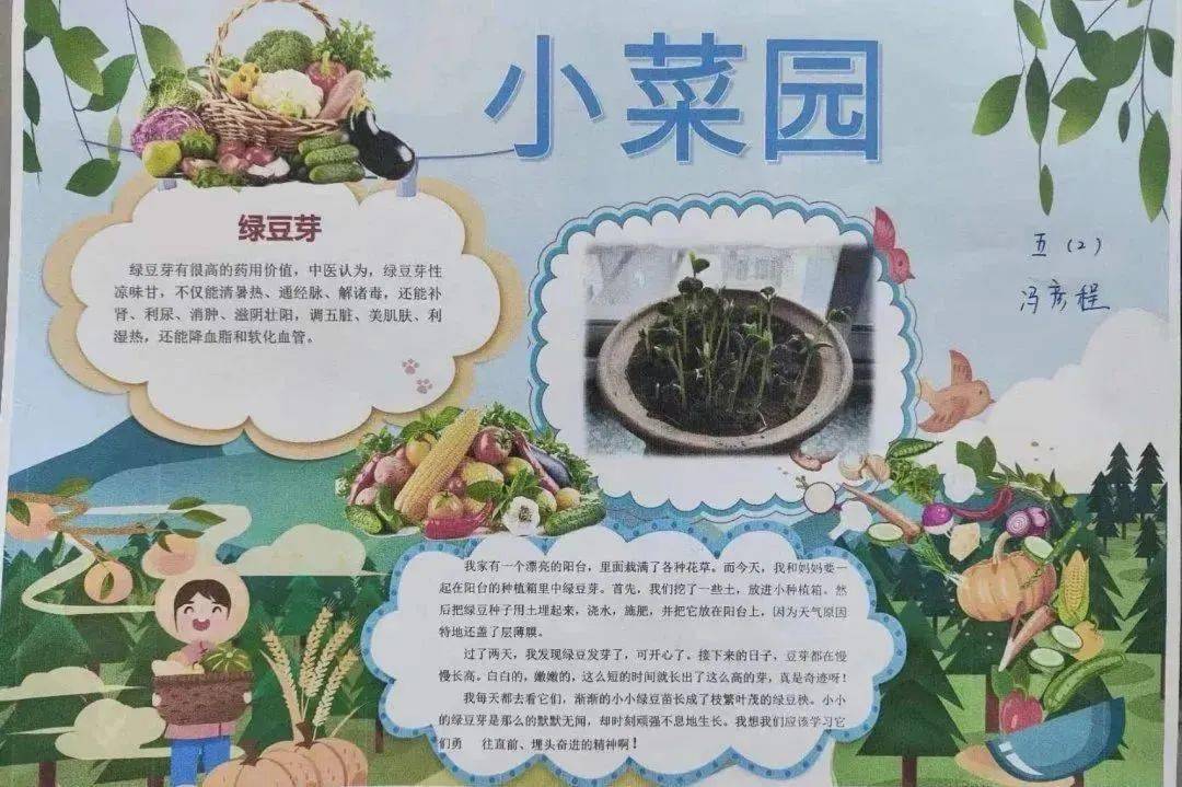 龙飞凤翔 悦过寒假