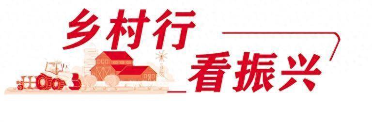 抢抓机遇 科学施工 确保进度 红古区扎实推进乡村振兴示范带建设_工作