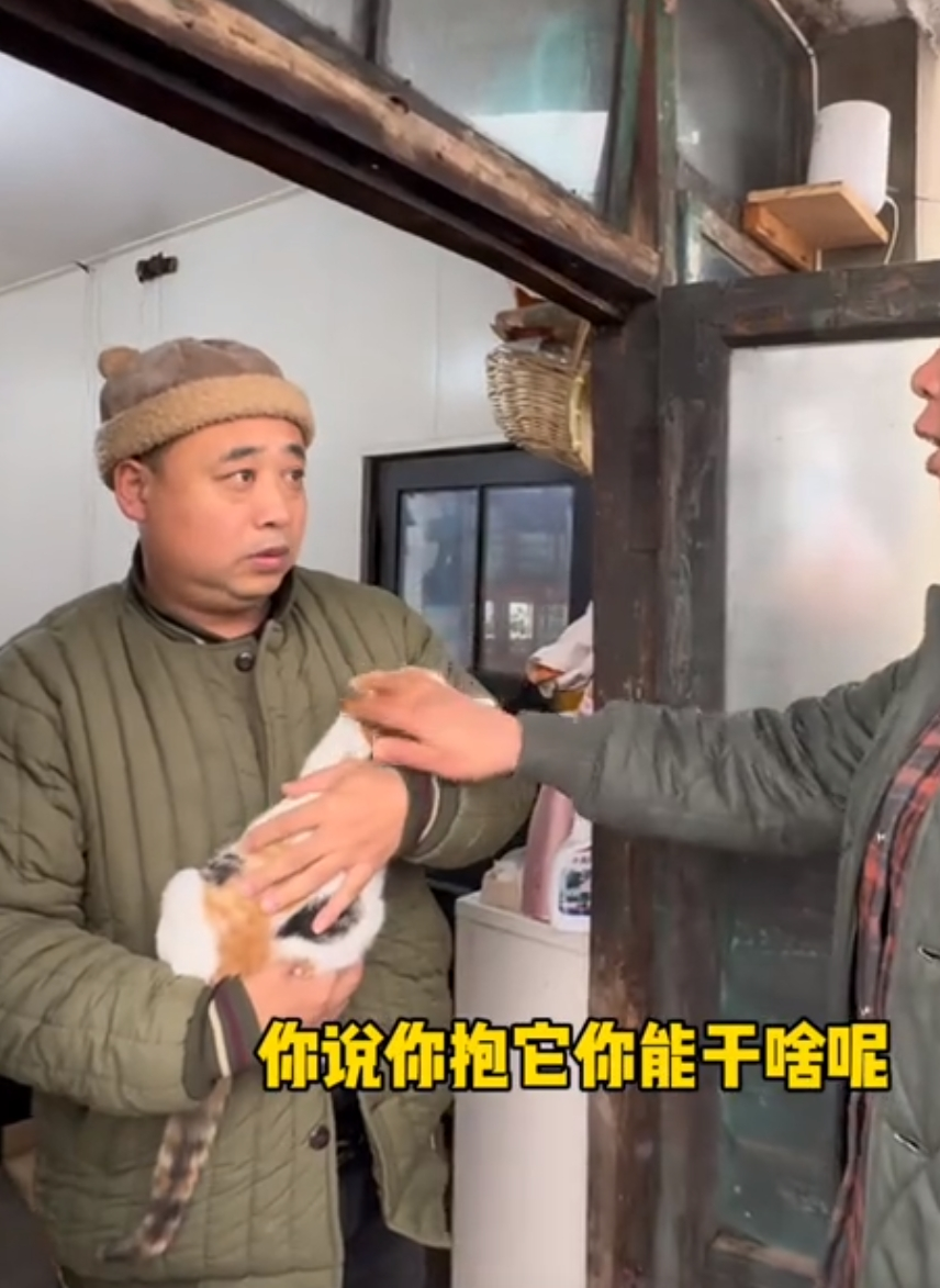 这女网红神了,脆弱年轻人看她一眼就有使不完的牛劲_东北_视频_小时