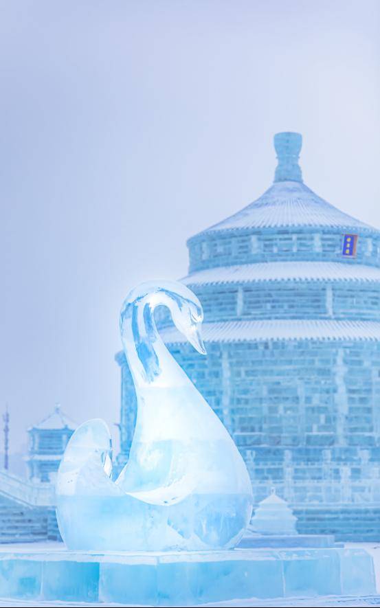 【心体验】不可复制的经典,第二十五届哈尔滨冰雪大世界美图集锦,共忆