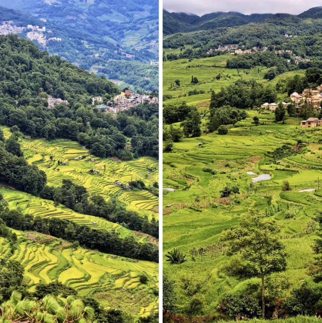 撫仙湖希爾頓,東風韻美憬閣~令滇東南旅行更出彩_元陽_梯田_彌勒