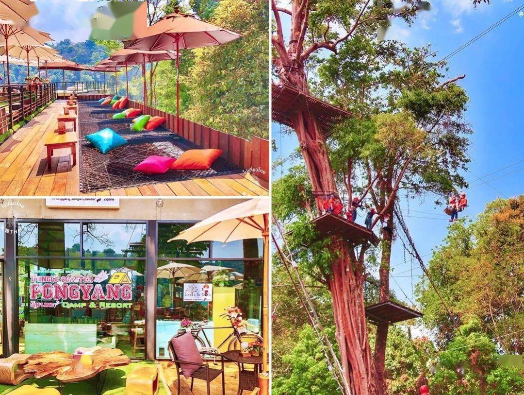 农文旅深度融合&极致场景与爆款业态标杆项目考察