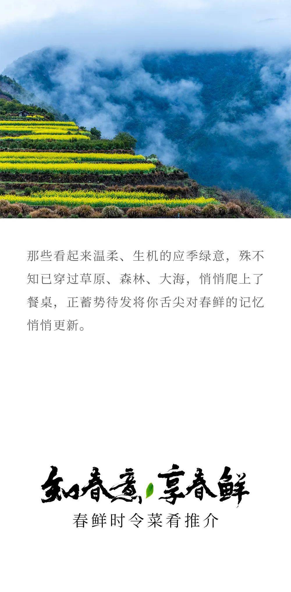 他山之石·时令新品|冰火楼:盎然绿意逢生机,美味始于春色间!_来源