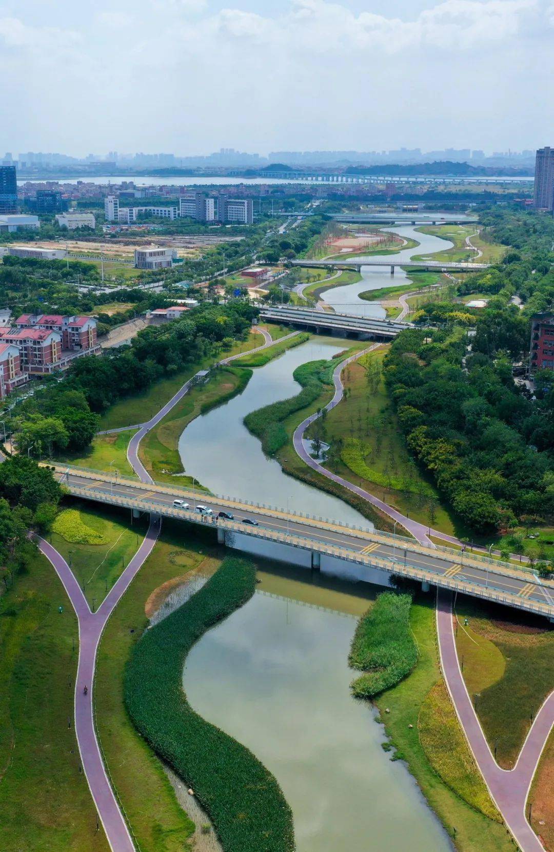 昔日"黑臭水"变身"网红景"!看同安埭头溪"蝶变"