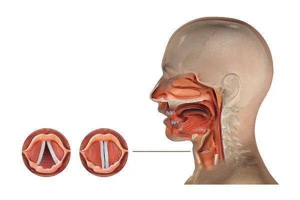 医生提醒:死亡率极高_会厌_严重_症状