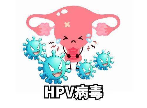 hpv病毒卡通图片