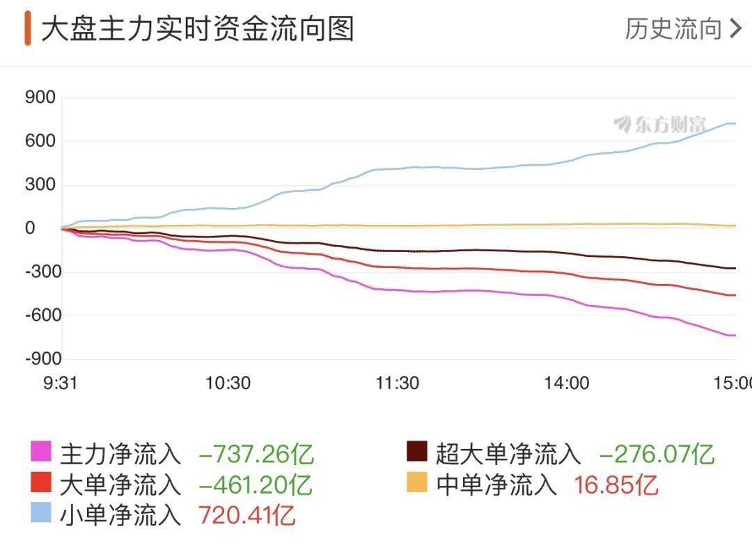 个人资金流向图图片