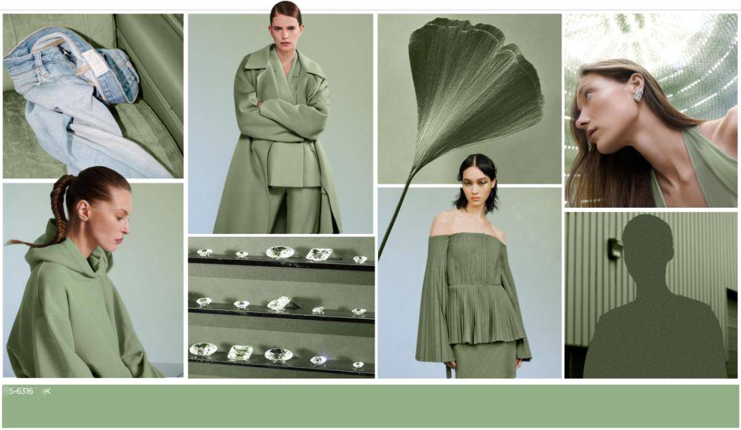 2025年将流行灰绿色_色调_灰色_自然