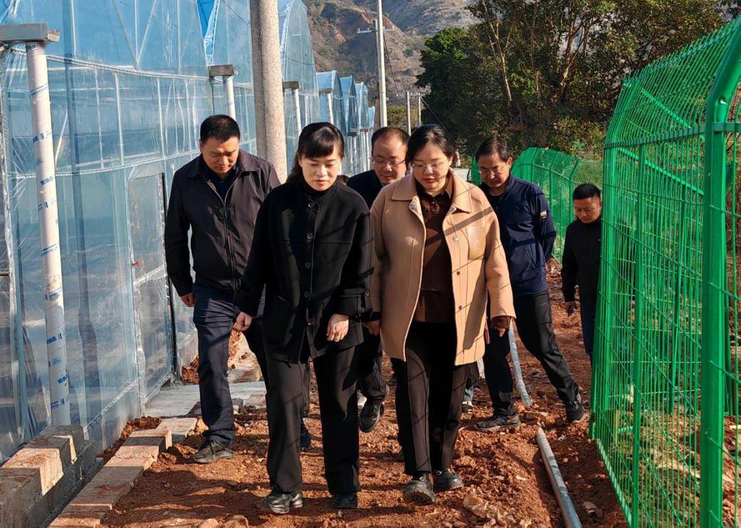 副会长矣成江,杨晓歌,易门县委副书记杨斌,易门县政府副县长,县计生