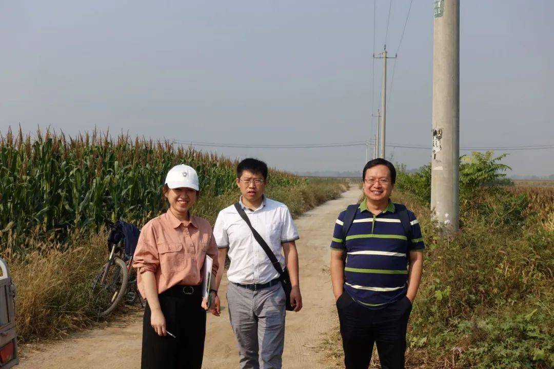 在雄安田间地头调研在雄安征迁现场调研圈头音乐会调研供稿|马全宝