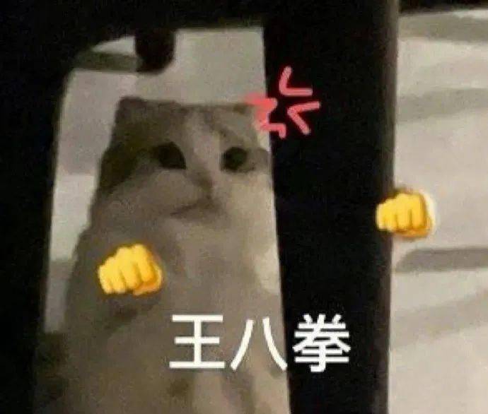 有人需要专业代打嘛?丨第931期喵表情包