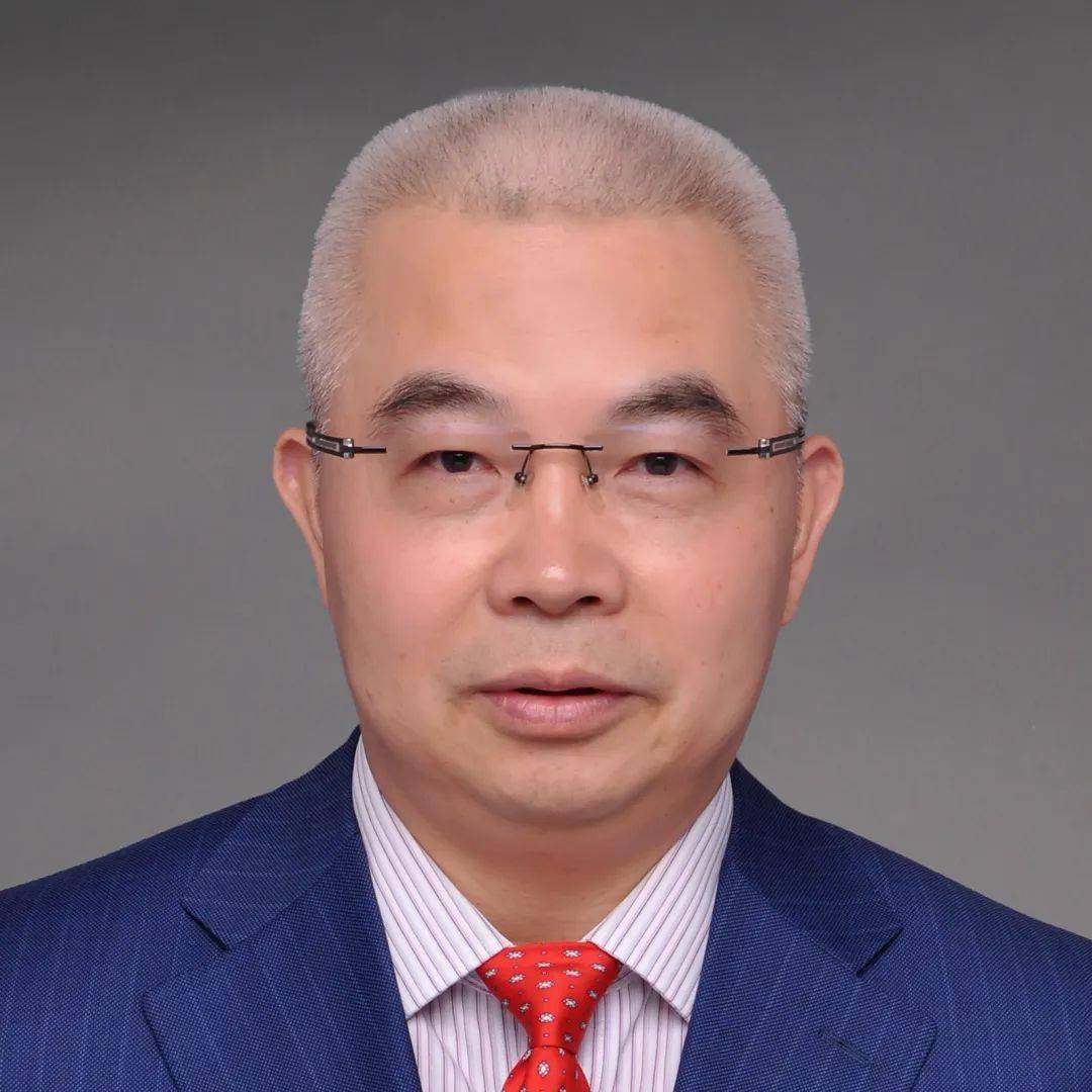 职权_治理_独立董事