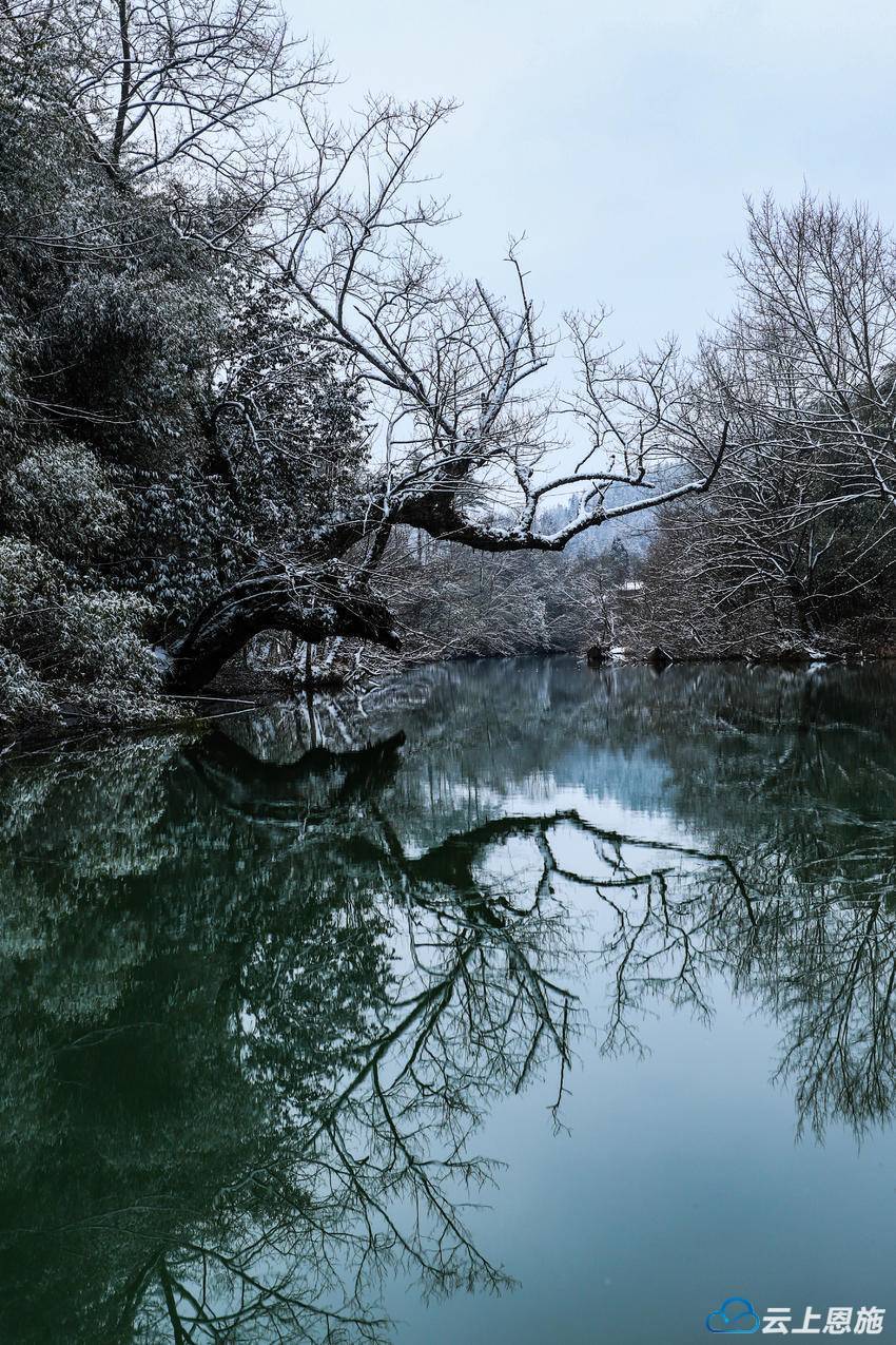 鹤峰燕子:秀美雪景入画来_摄影_孙艺芳_爱好者