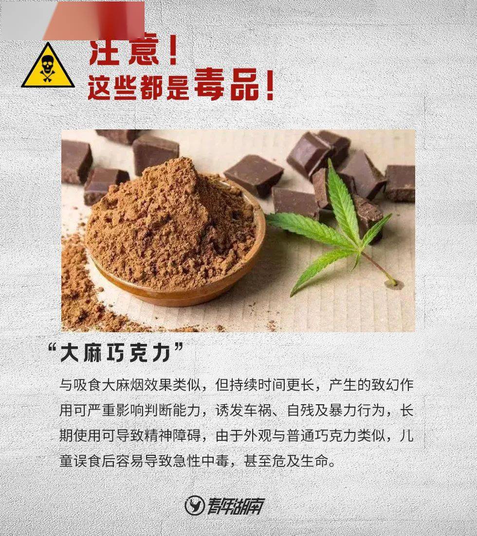 "这是罂粟?以为是茼蒿呢!"民警:别狡辩!_毒品_种植_植物